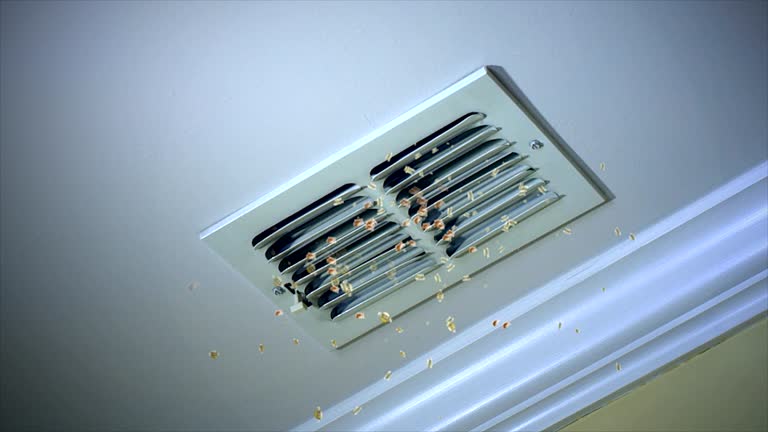 Best Affordable Duct Cleaning Services  in Lake Lotawana, MO